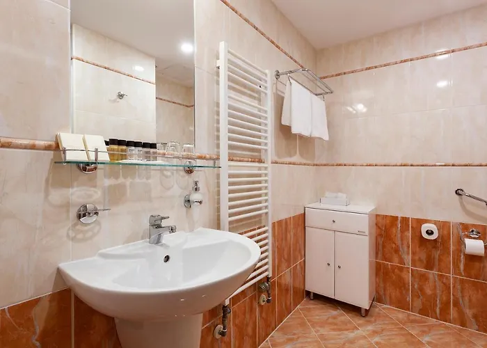 Reitenberger Medical 4* Mariánské Lázně